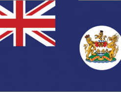 Hong Kong Old 3x5' Poly Flag