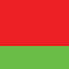 Belarus 3x5' Poly Flag