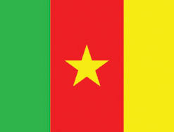 Cameron 3x5' Poly Flag