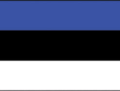 Estonia 3x5' Poly Flag