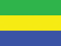Gabon 3x5' Poly Flag
