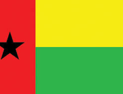 Guinea Bissau 3x5' Poly Flag