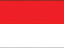 Indonesia 3x5' Poly Flag