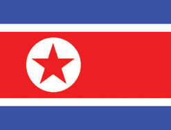 Korea North 3x5' Poly Flag