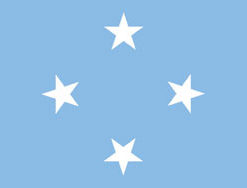 Micronesia 3x5' Poly Flag