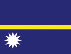 Nauru 3x5' Poly Flag