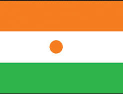 Niger 3x5' Poly Flag