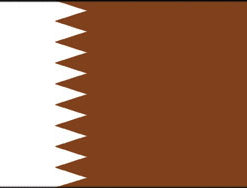 Qatar 3x5' Poly Flag