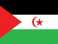 Sahara 3x5' Poly Flag
