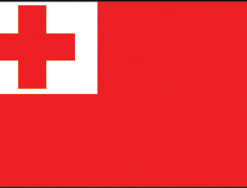 Tonga 3x5' Poly Flag