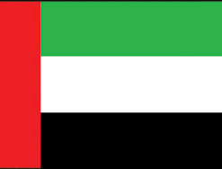 United Arab Emirates 3x5' Poly Flag