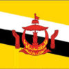 Brunei 3x5' Poly Flag