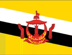 Brunei 3x5' Poly Flag