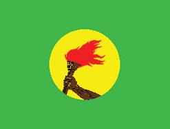 Zaire 3x5' Poly Flag