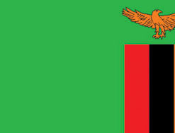 Zambia 3x5' Poly Flag