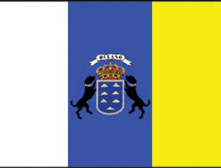 Canary Islands 12"x18" Stick Flag