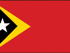 East Timor 3x5' Poly Flag