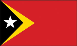 East Timor 3x5' Poly Flag