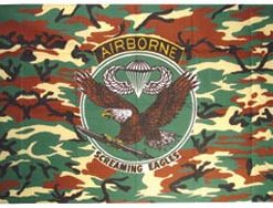 101st A/ B Camo  3x5'
