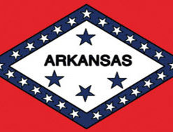 3'x5' Arkansas Polyester Flag