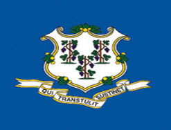 3'x5' Connecticut Polyester Flag