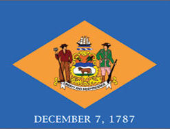 3'x5' Delaware Polyester Flag