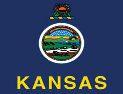 3'x5' Kansas Polyester Flag