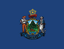 3'x5' Maine Polyester Flag