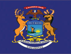 3'x5' Michigan Polyester Flag