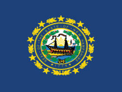 3'x5' New Hampshire Polyester Flag