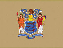 3'x5' New Jersey Polyester Flag