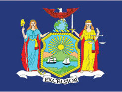 3'x5' New York Polyester Flag