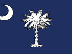 3'x5' South Carolina Polyester Flag