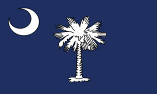 3'x5' South Carolina Polyester Flag