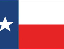 3'x5' Texas Polyester Flag