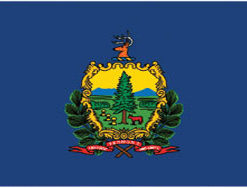 3'x5' Vermont Polyester Flag