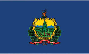 3'x5' Vermont Polyester Flag