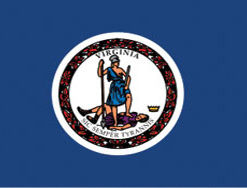 3'x5' Virginia Polyester Flag