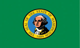 3'x5' Washington Polyester Flag
