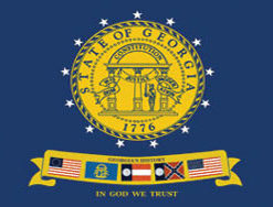 3'x5' Georgia Polyester Flag/ New