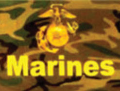 USMC Gold 3x5' Poly Flag