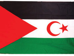 Saharan Arab Dem 3x5' Poly Flag