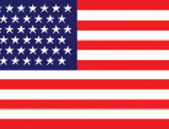 43 Stars 3X5' Historical Poly Flag