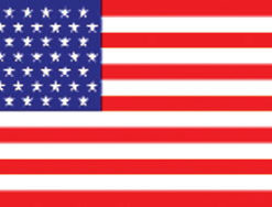 49 Stars 3X5' Historical Poly Flag