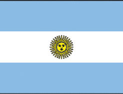 Argentina 12"x18" Stick Flag