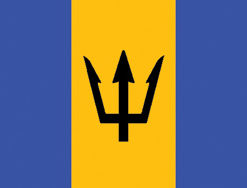 Barbados 12"x18" Stick Flag