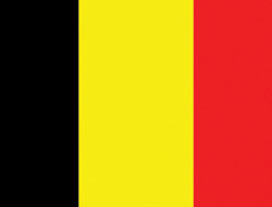 Belgium 12"x18" Stick Flag
