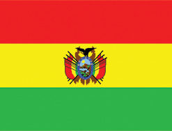 Boliva 12"x18" Stick Flag