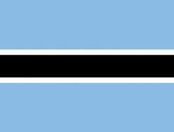 Botswana 12"x18" Stick Flag