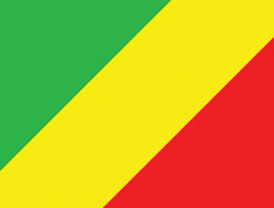Congo 2x3' Poly Flag